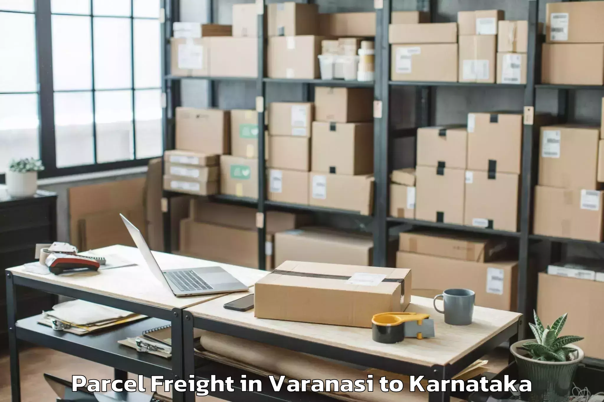 Book Varanasi to Holesirigere Parcel Freight